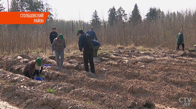 Работа кипела во всех уголках Беларуси: руководители госструктур отправились на субботник в родные места  -31