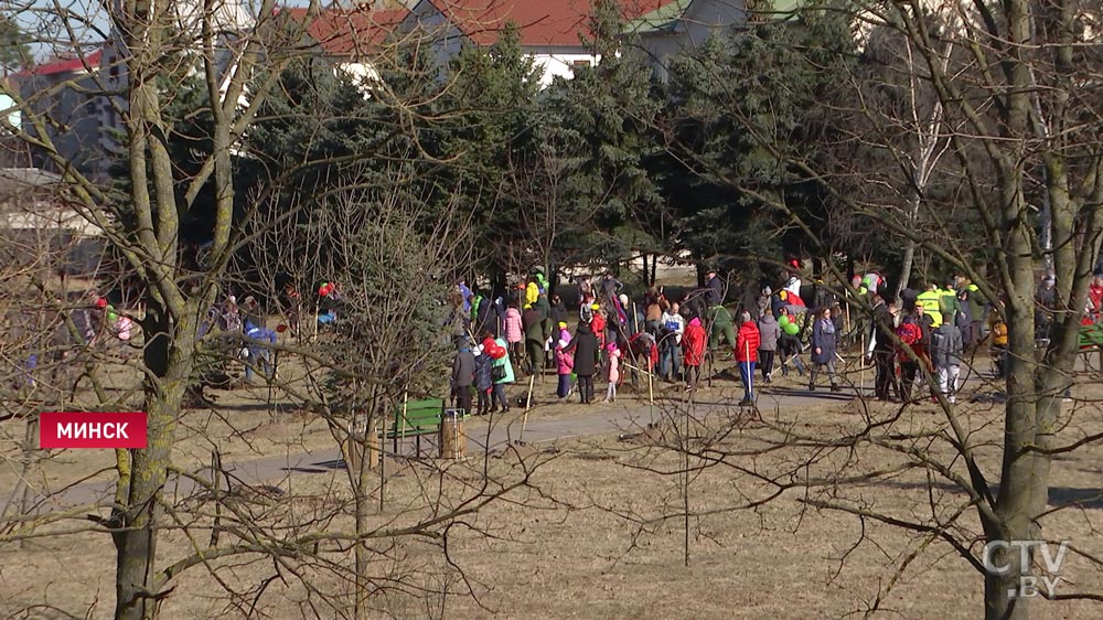 Как за несколько часов в Минске появился первый в городе Парк семейных деревьев? Репортаж СТВ-1