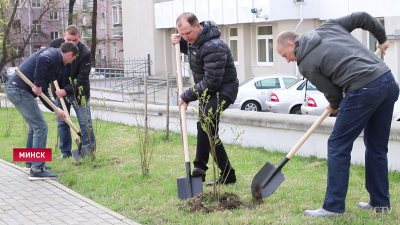 «Система живёт, трудится в обычном режиме». Рассказываем, как в Беларуси прошёл республиканский субботник-25