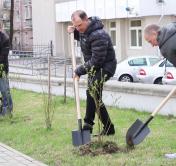 «Система живёт, трудится в обычном режиме». Рассказываем, как в Беларуси прошёл республиканский субботник