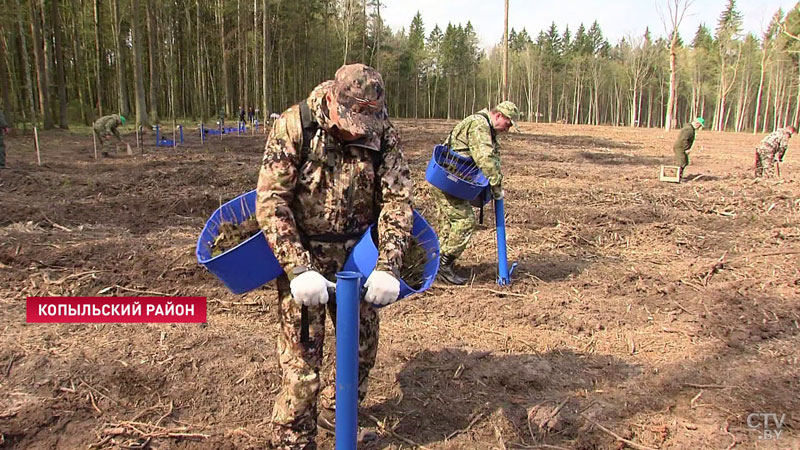 «Система живёт, трудится в обычном режиме». Рассказываем, как в Беларуси прошёл республиканский субботник-7