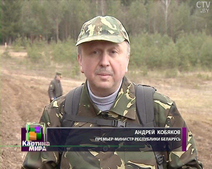 В Беларуси проходит осенний месячник по уборке, благоустройству и озеленению городов