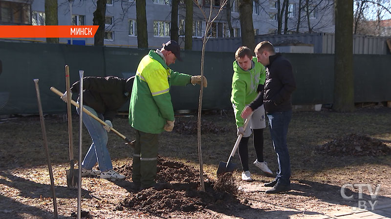 Как за несколько часов в Минске появился первый в городе Парк семейных деревьев? Репортаж СТВ-7