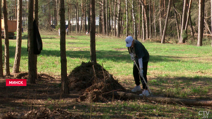 «Приехала с семьей, дети тоже помогают». Работники «Белавиа» провели субботник на аэродроме Липки-13