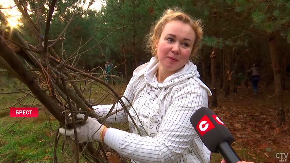 В брестском парке проводят первое масштабное обновление почти за 50 лет. Вот как изменится место отдыха жителей-1