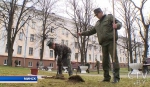 Аллею в честь ветеранов Великой Отечественной войны посадили 18 апреля на республиканском субботнике