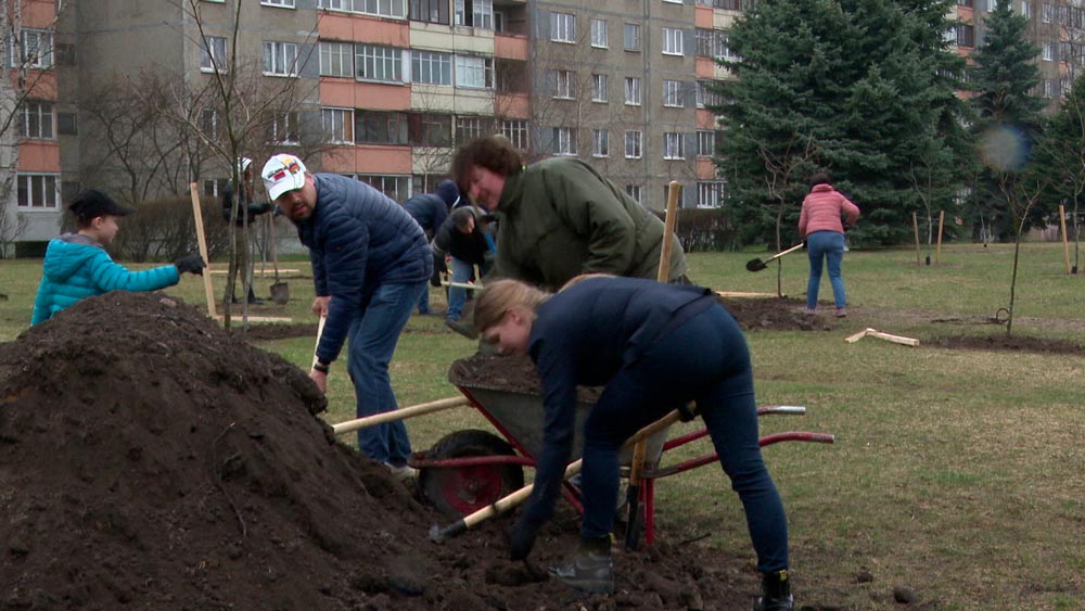 «Это делает, мне кажется, землю своей». Депутаты Мингорсовета вместе с молодёжью высадили 30 саженцев красного дуба