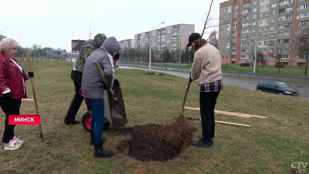 «Это делает, мне кажется, землю своей». Депутаты Мингорсовета вместе с молодёжью высадили 30 саженцев красного дуба-1