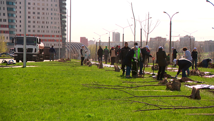 23 марта во всех районах Минска пройдут традиционные субботники