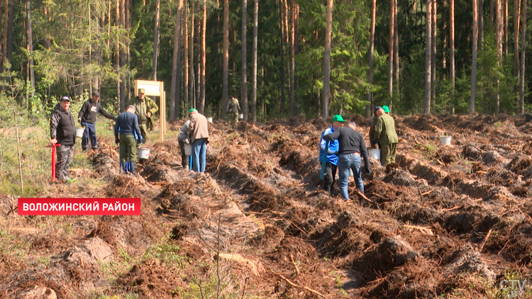 Вольфович: защита исторической памяти – один из главных приоритетов страны-1