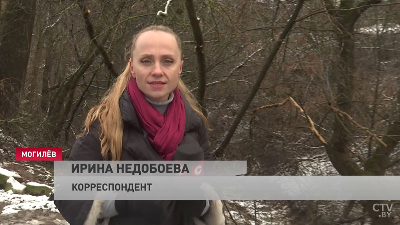 «Завезённый грунт загрязнён нефтепродуктами». Стихийную свалку в частном секторе Могилёва засыпали токсичной землёй-4 «Завезённый грунт загрязнён нефтепродуктами». Стихийную свалку в частном секторе Могилёва засыпали токсичной землёй-4