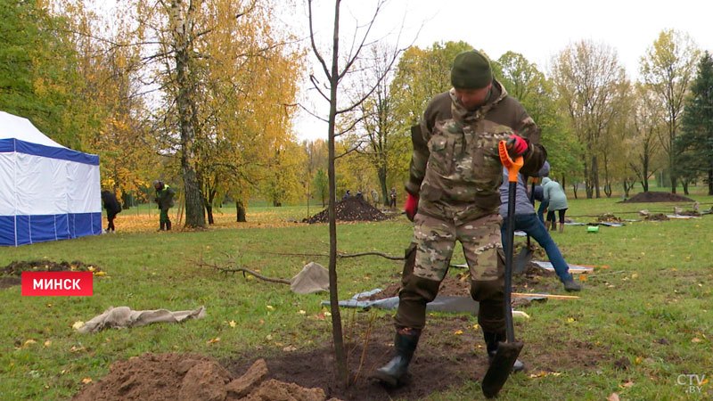 «Самый проблемный момент». Вопросы несанкционированных свалок мусора обсудили в Минске-10