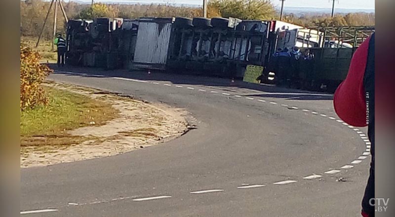 В Молодечненском районе перевернулся грузовик со свиньями-1