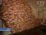 Беларусь ограничивает ввоз свинины из Саратовской и Ровенской областей из-за африканской чумы