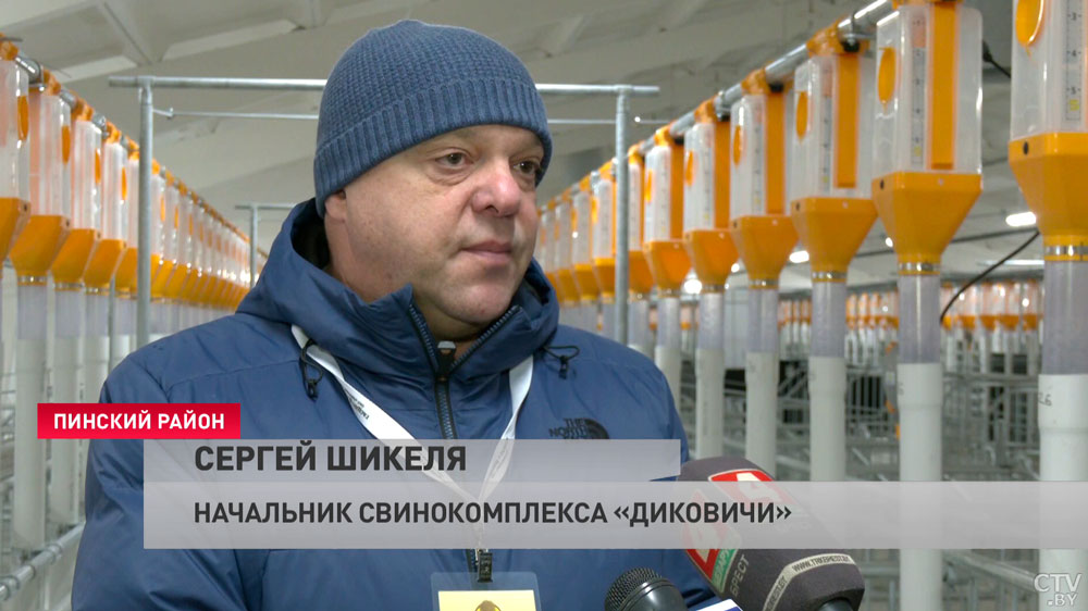 Новый свинокомплекс на 24 тысячи голов открыли в Пинском районе. Показываем, как устроена будущая «мясная фабрика»-1