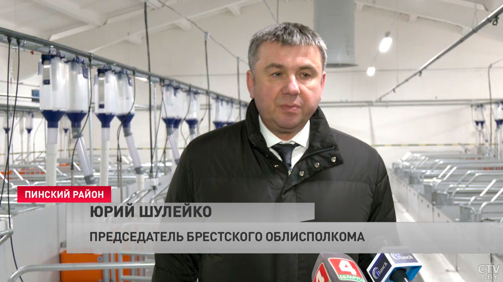 Новый свинокомплекс на 24 тысячи голов открыли в Пинском районе. Показываем, как устроена будущая «мясная фабрика»-4