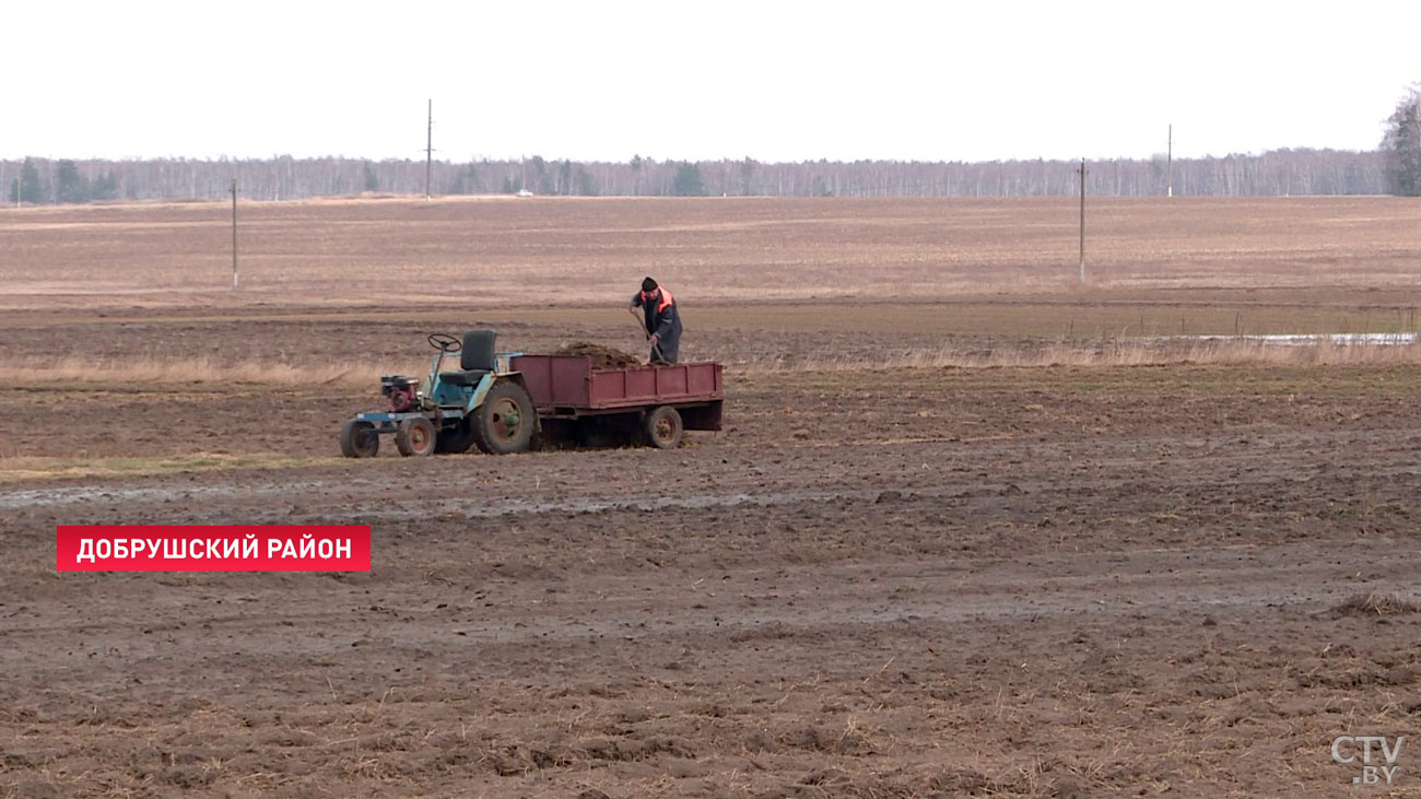 Съёмочная группа СТВ проехала около 80 км вдоль границы с Украиной. И вот что удалось снять-11