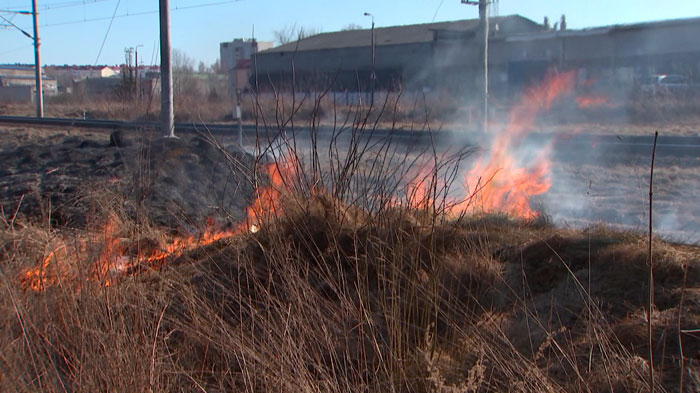 МЧС напоминает: сжигать траву на территории Беларуси запрещено