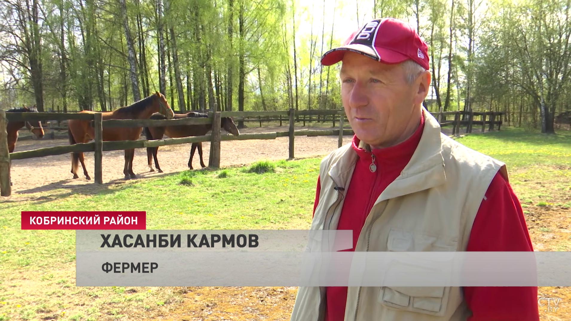 Лошади, которым доверяют «трусливых пионеров». Табунщик с Северного Кавказа переехал в Беларусь и открыл конюшню-10