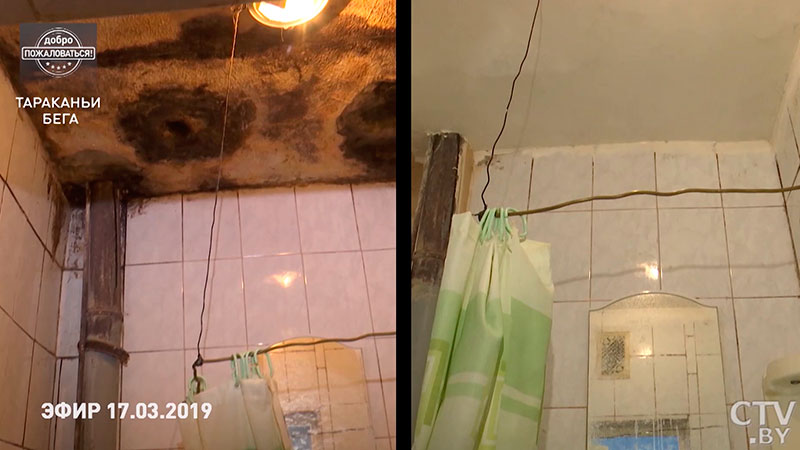 «С тараканами поспокойнее сейчас». Что изменилось после сюжета СТВ в минском общежитии с плесенью, червяками и дырами в потолке