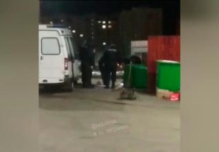 Тело младенца обнаружили в контейнере для мусора в Витебске