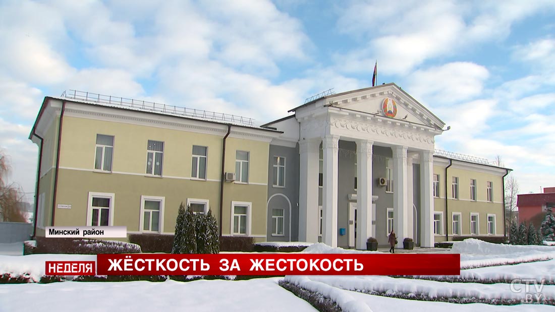 Теперь за жестокое обращение над животными можно получить срок до 3 лет. Что ещё изменится в законе?-7