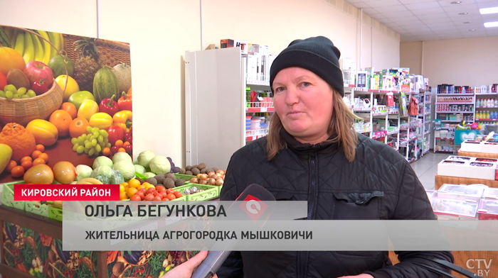 Настоящий Лас-Вегас для овощей! Как в модернизированных теплицах собирают урожай круглый год?-4
