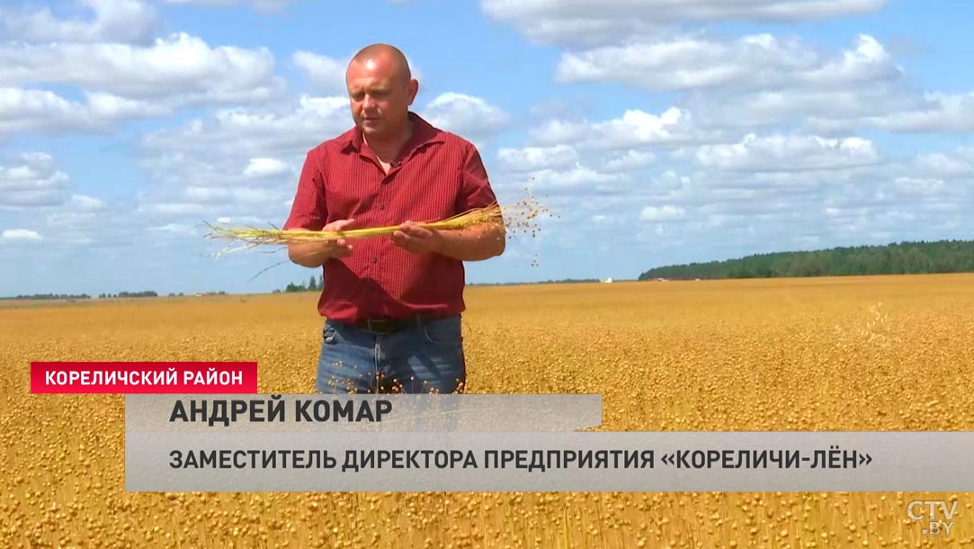 «Это и называется северным шёлком». Как производят знаменитый белорусский лён?-4