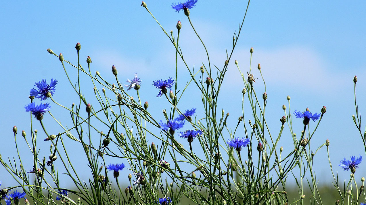Какие годы в Беларуси были самыми тёплыми за всю историю метеонаблюдений?