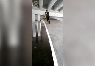Подросток скинул каршеринговый велосипед в Свислочь, а его друг снимал это на видео