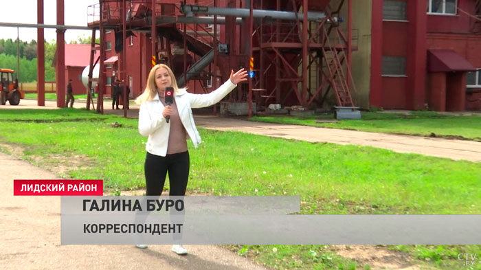 «Они для нас некритичны». Как торфобрикетный завод «Дитва» работает в условиях санкций?-19