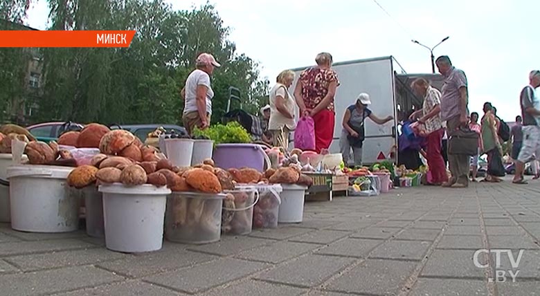 Нелегальная торговля в Минске: за 2018 рейды выявили почти 50 продаж без госрегистрации-1 Нелегальная торговля в Минске: за 2018 рейды выявили почти 50 продаж без госрегистрации-1