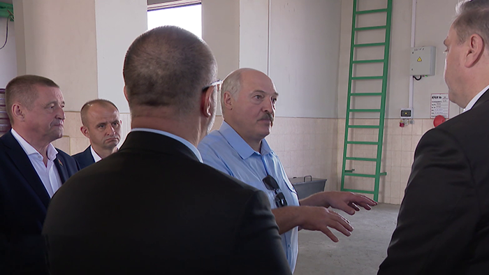 Лукашенко: ни одна картофелина не останется лежать сверх нормы! Торговлю возьмите за жабры железно!