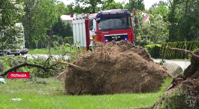 Мощный торнадо в Польше вырывал деревья и сносил крыши-1