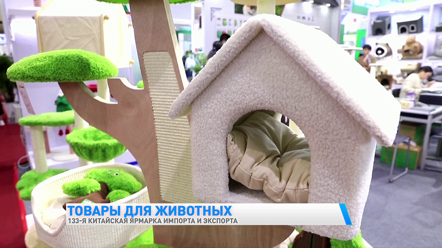 Есть даже кошачий скалодром. Посмотрите, какие товары для животных продают на Кантонской ярмарке-4