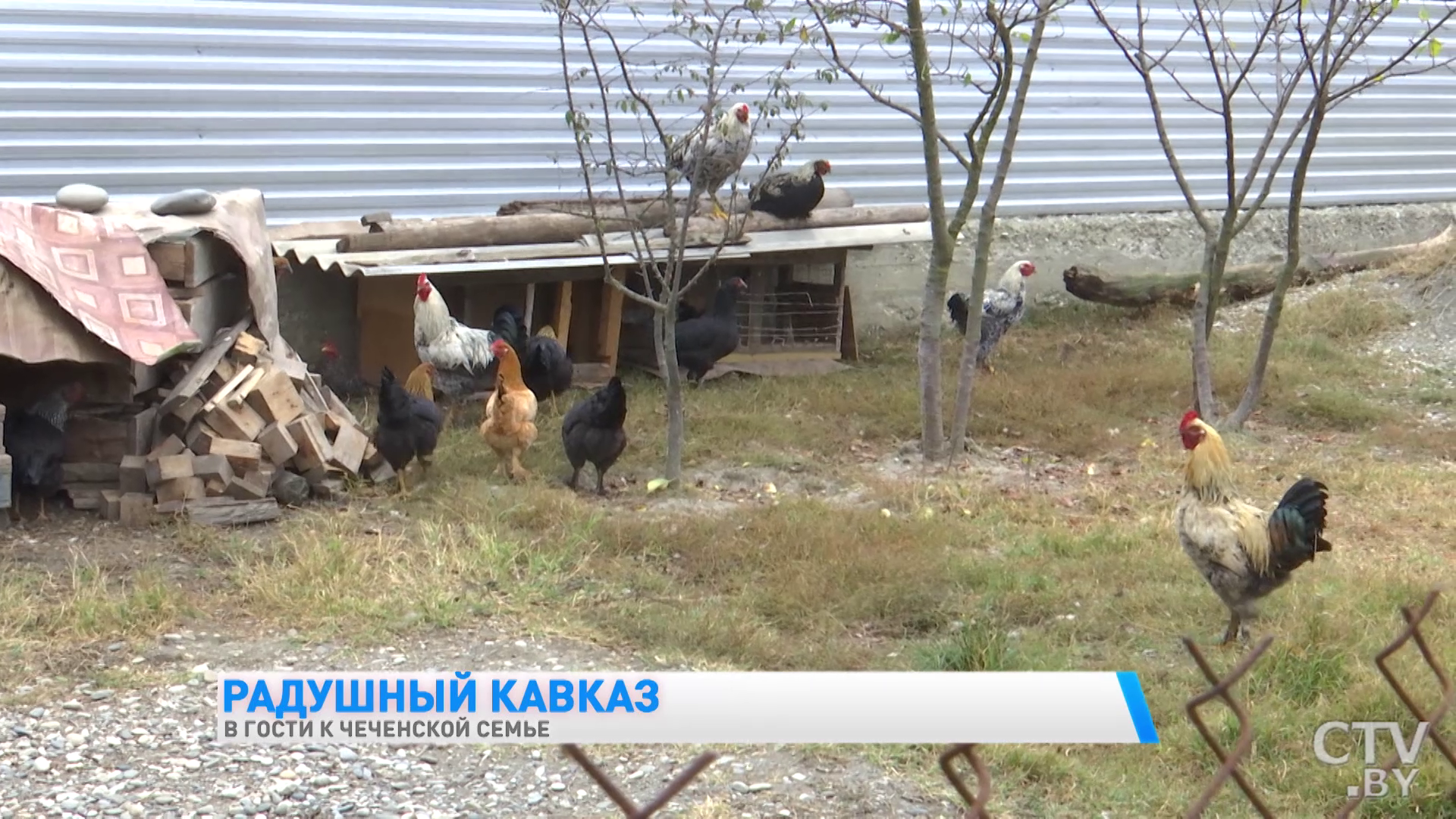 На свадьбу может прийти любой желающий. Какие традиции чтут в чеченских семьях -10