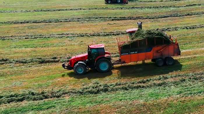 Тракторы BELARUS сравнивают с автоматом Калашникова. Чем уникальна техника белорусского производства?