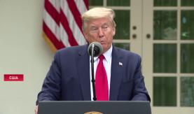 Трамп: «Мы должны вернуть наш спорт. Я устал смотреть бейсбол»