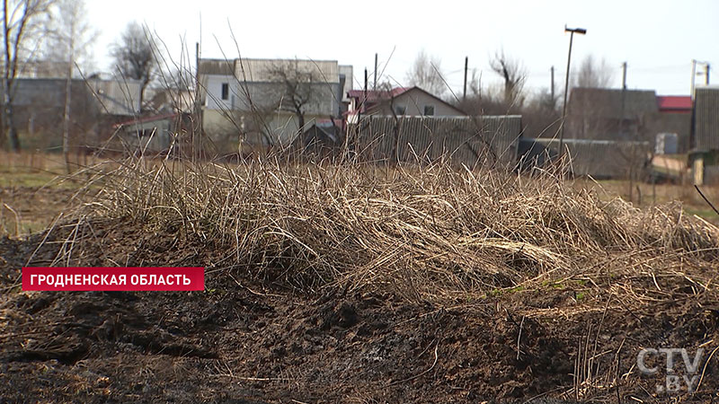 В Беларуси ожидается туман, гололед и мокрый снег