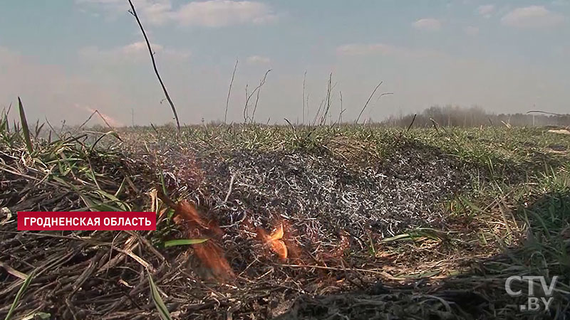 В Гродненской области сгорели шесть домов. Население жжёт сухую траву-6