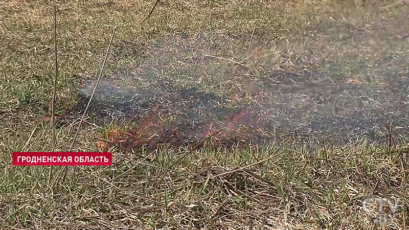 В Гродненской области сгорели шесть домов. Население жжёт сухую траву-8