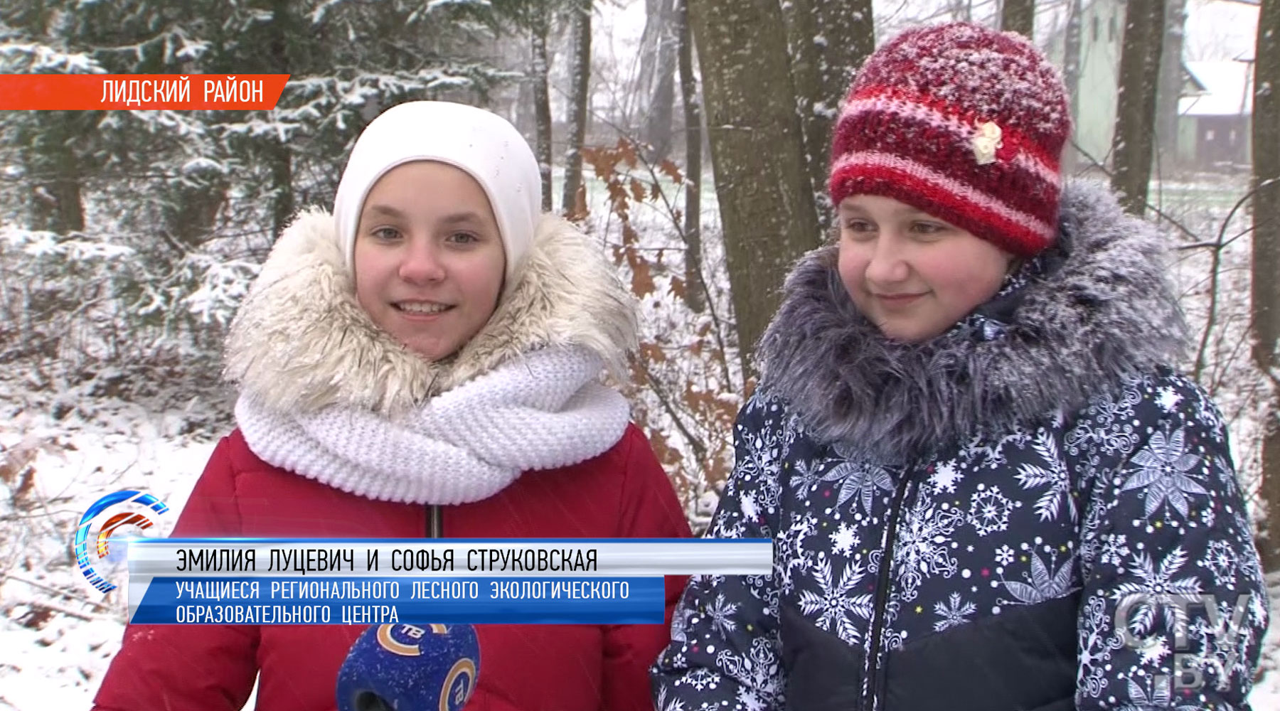 Пройти квест и познакомиться с природой: туевый лабиринт появился в Гродненской области-6