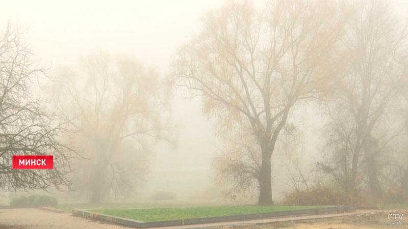 Оранжевый уровень опасности объявлен в Беларуси из-за тумана-1 Оранжевый уровень опасности объявлен в Беларуси из-за тумана-1