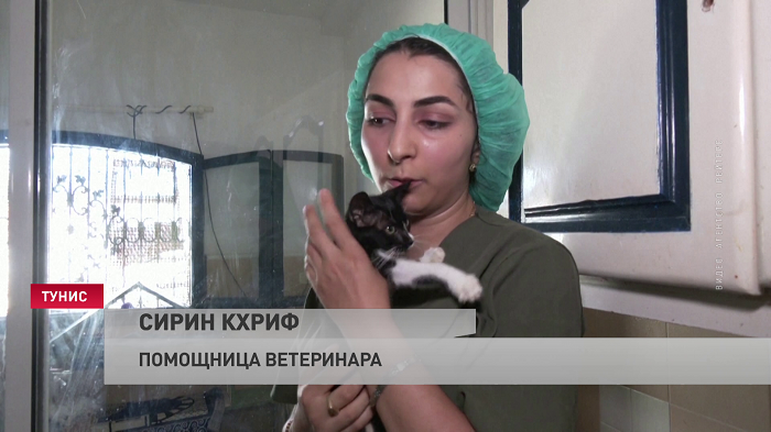Тунисский ветеринар превратил свой дом в приют для бездомных животных-1