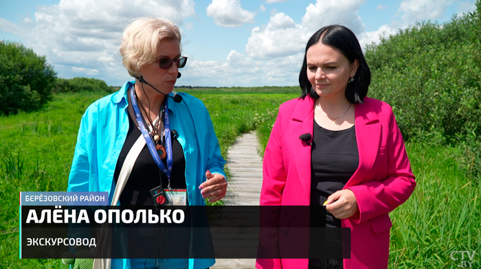 «Понравилось и мне, и детям». Мистическая красота полесских болот – оценили пейзажи нетронутых мест-7