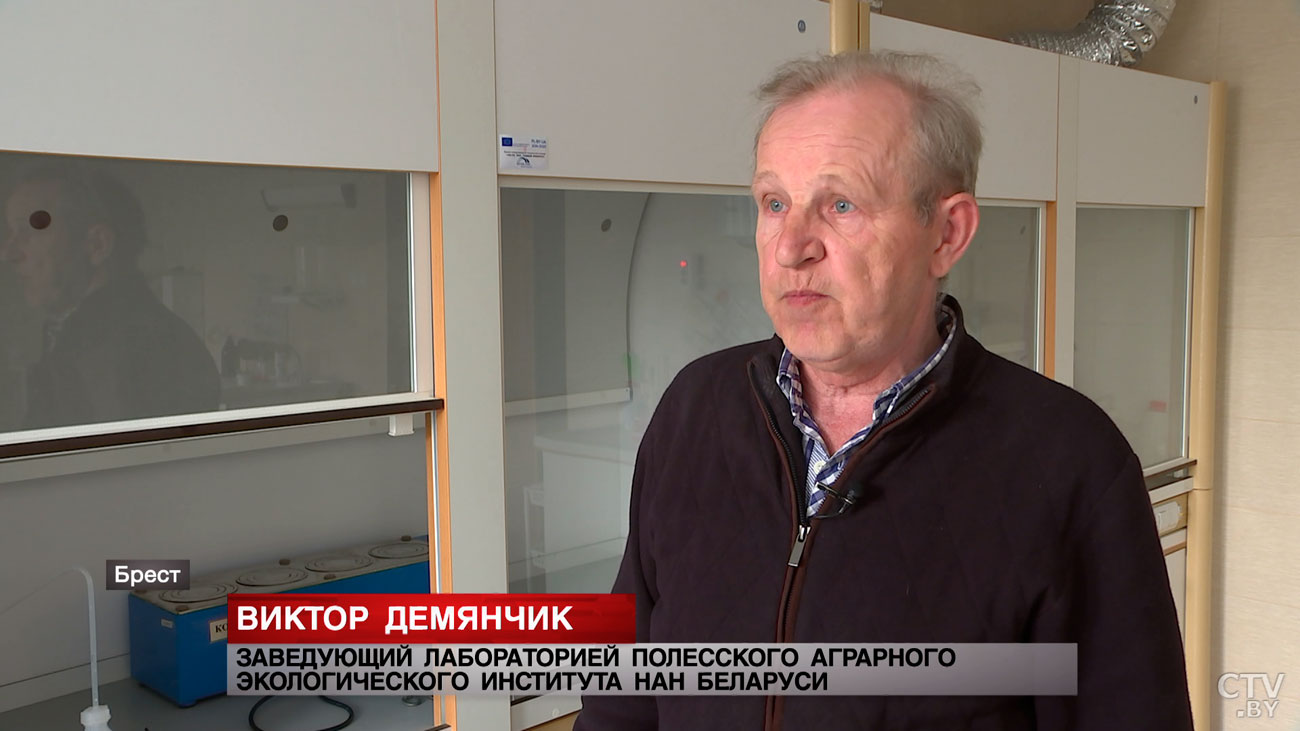 Тысячи животных может убить ограждение на белорусско-польской границе. Вот о чём сообщили в НАН-7