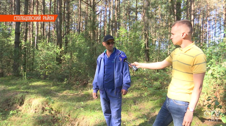 «Он ее тянул, а женщина всем руководила»: в Столбцовском районе жестоко убит щенок хаски. Разбираемся в ситуации-25