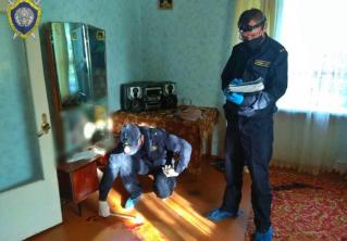 В Добрушском районе нетрезвый мужчина до смерти избил сожительницу 