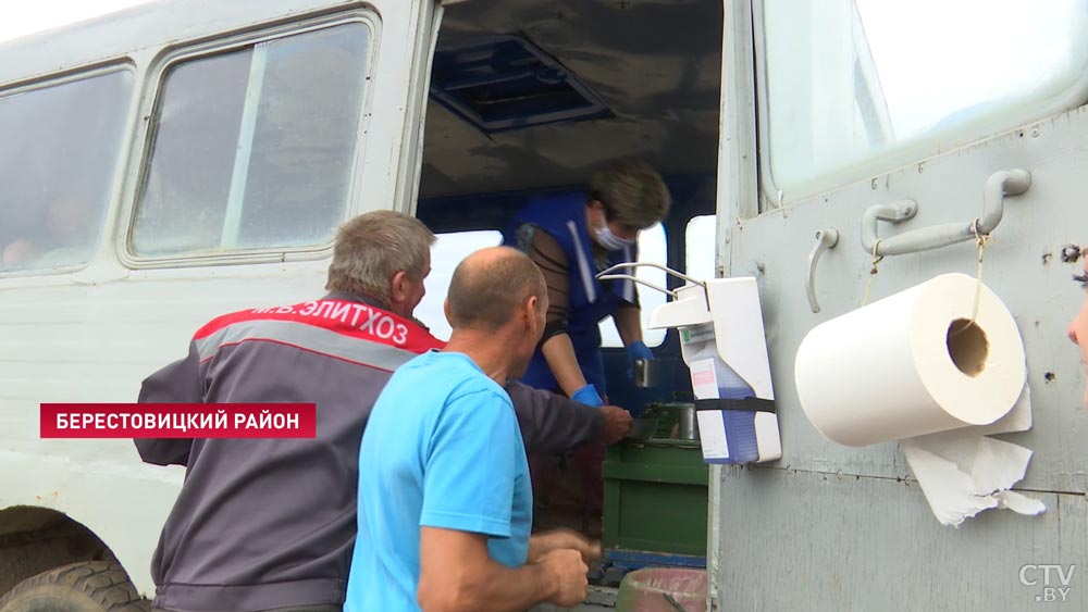 В Беларуси в разгаре уборка раннего картофеля. Сколько можно заработать за сезон?-14