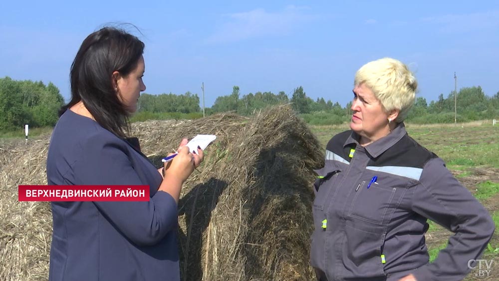 «План «Б» есть, но не хотелось бы к нему приходить». Как в Витебской области убирают лён?-13